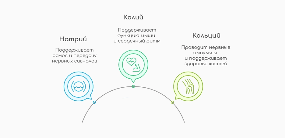 Натрий, Калий, Кальций (инфографика)